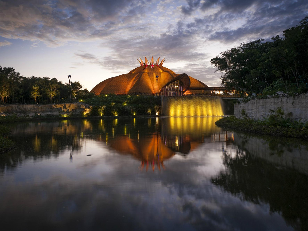 Cirque du Soleil Joyà景点图片