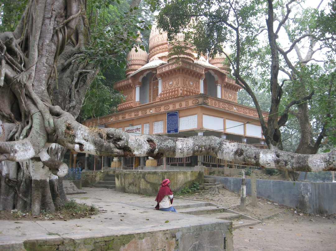 Maa Johura Temple景点图片