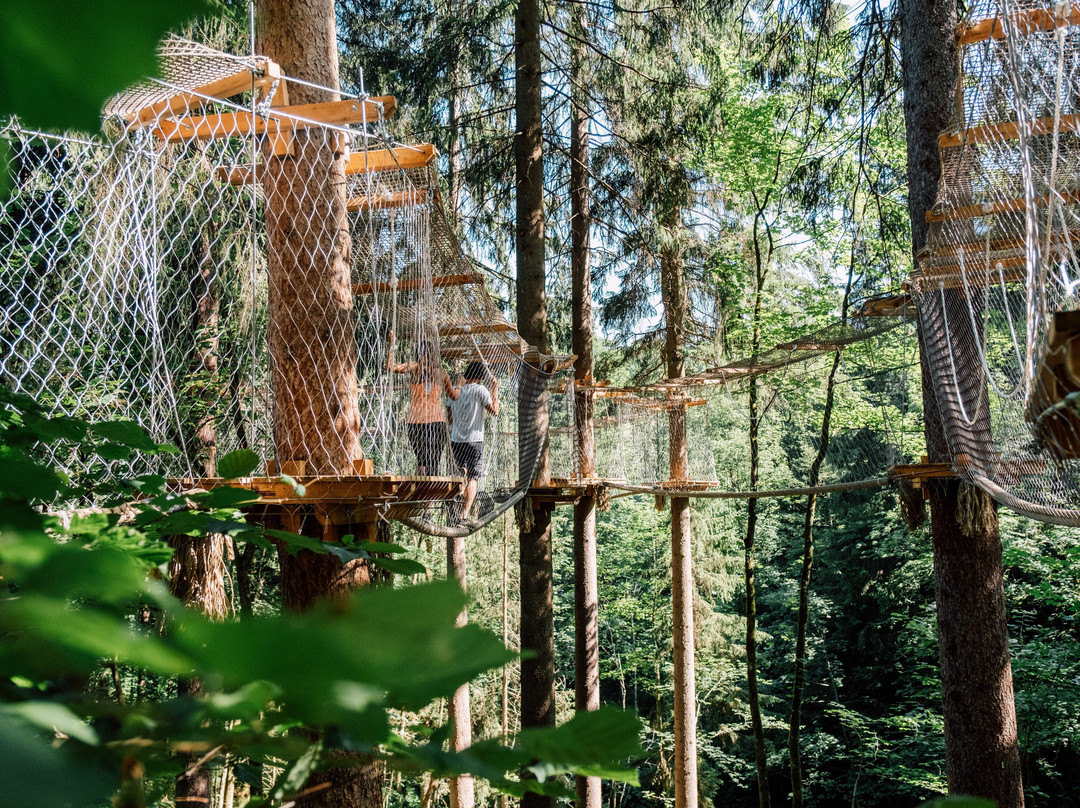 Jody's Baumparcours