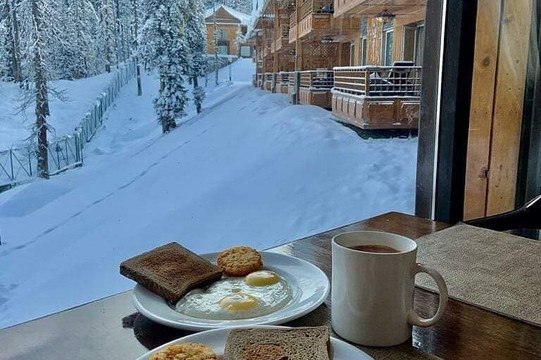 Vivanta Global Holidays-斯利那加必去景点