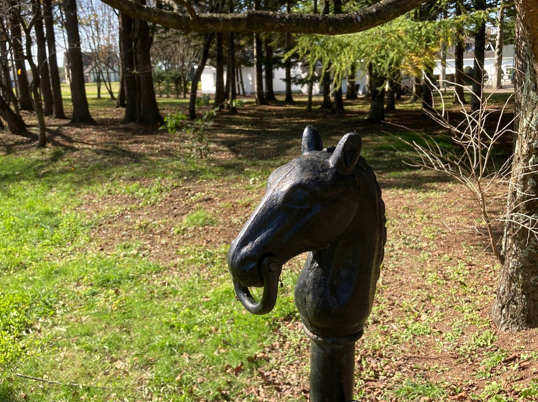 Racing Horse Grazing Farm-浦河町必去景点