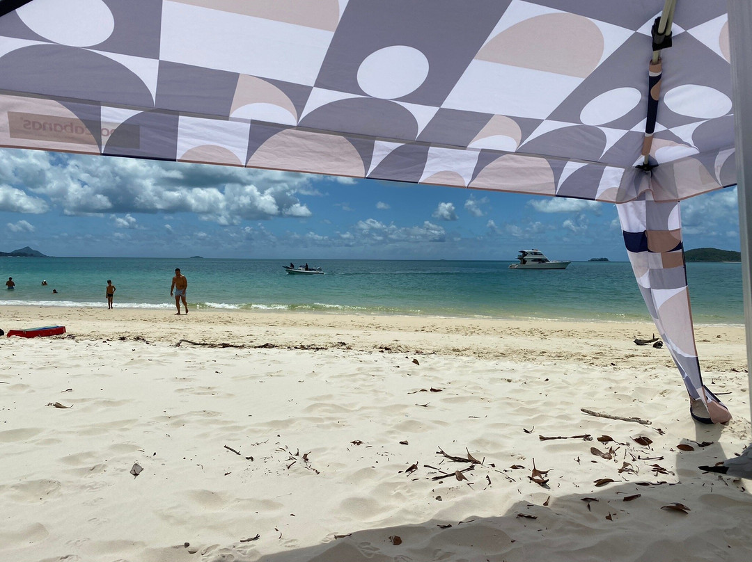 Ocean Dynamics-海曼岛必去景点