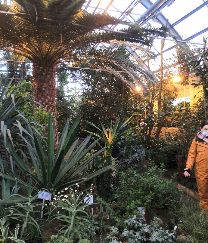 Polar-Alpine Botanical Gardens景点图片