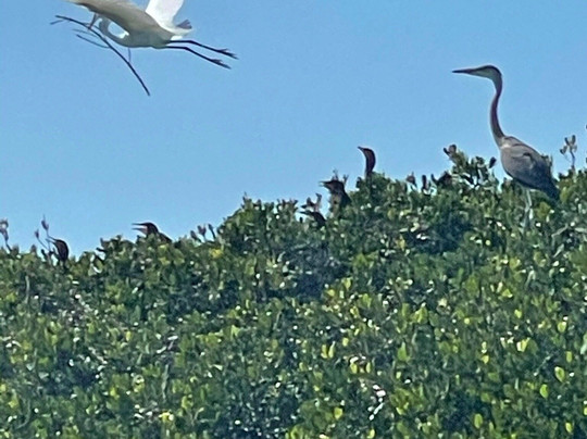 Paradise Key Charters-萨拉索塔必去景点