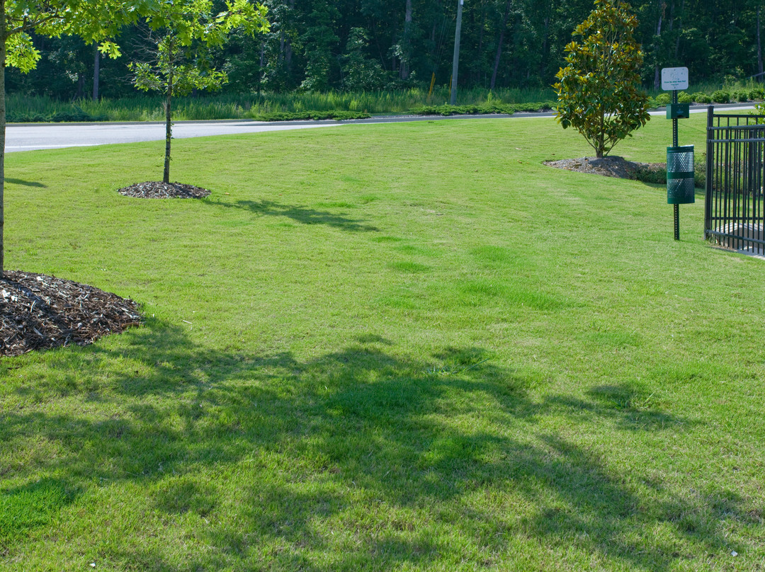 Candlewood Suites Alabaster By IHG主图