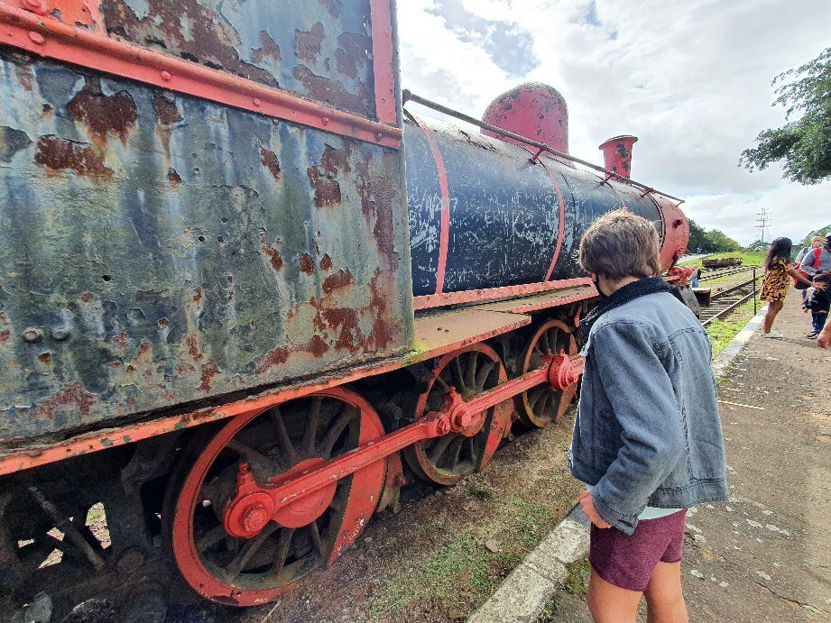 Umgeni Steam Railway景点图片