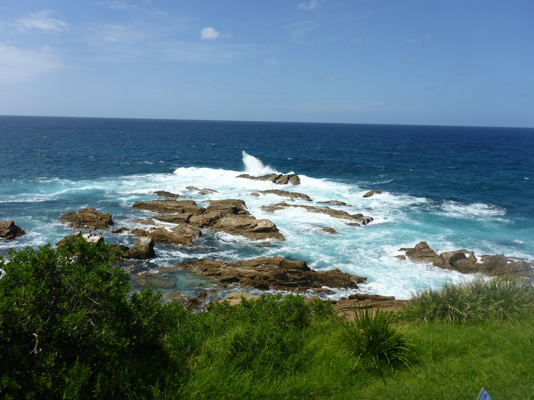 Ocean Parade Lookout Dalmeny景点图片
