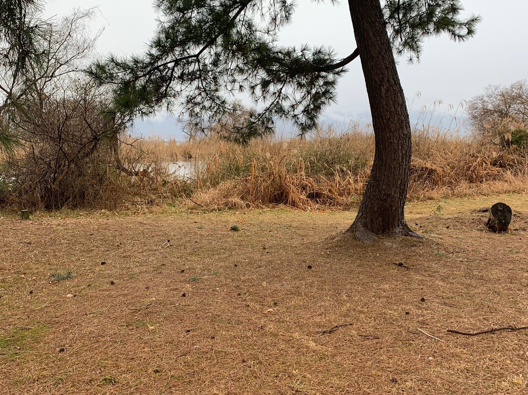 Nagisa Park-守山市必去景点