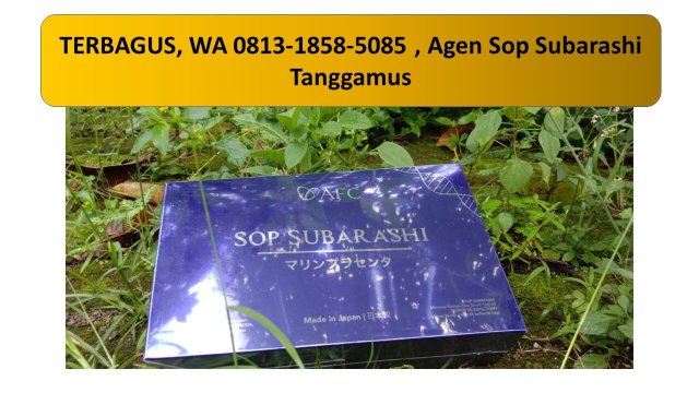 楠榜格兰安格拉酒店-官方