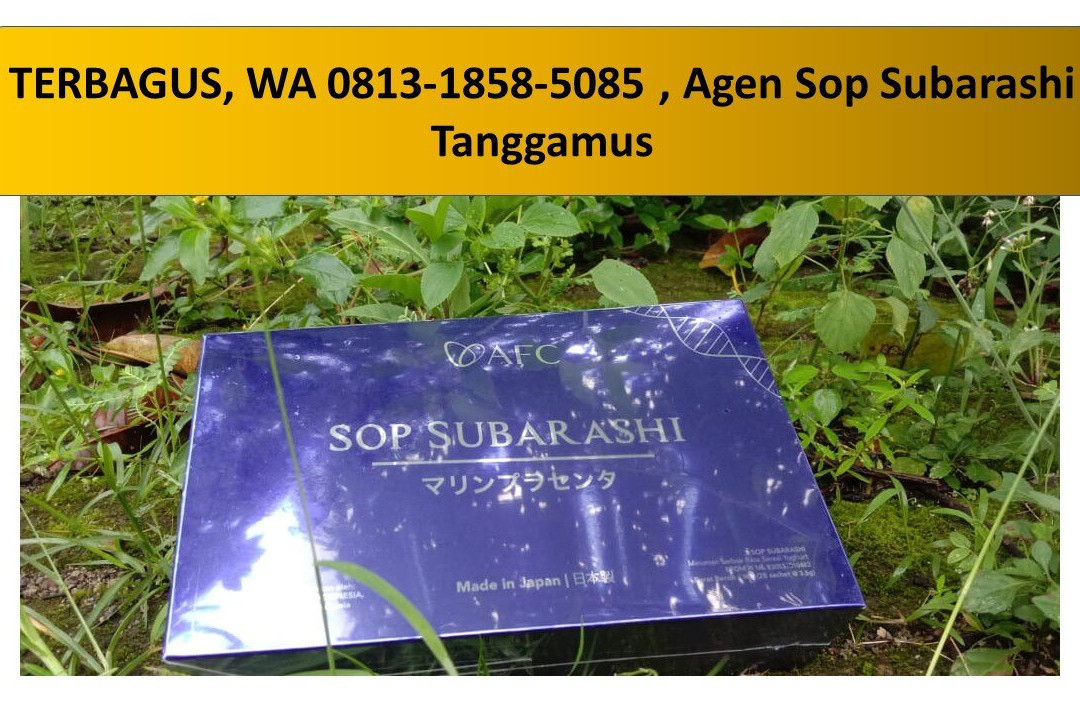 楠榜格兰安格拉酒店主图