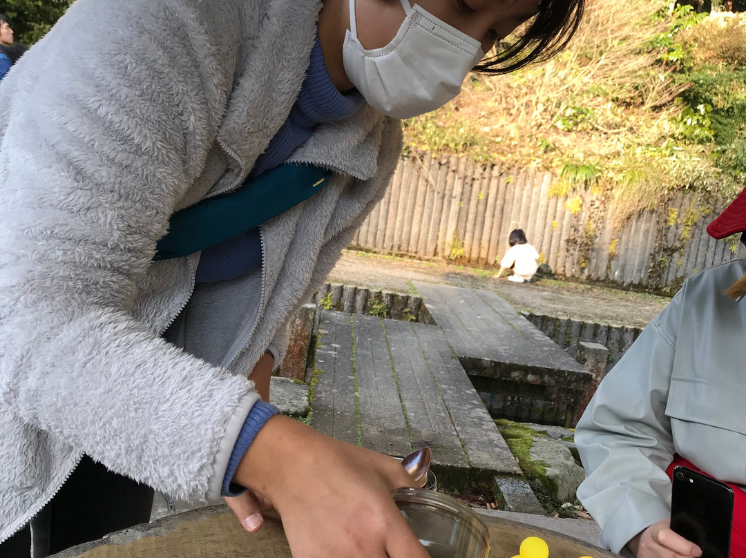 Hongu Izumi Spring-米子市必去景点