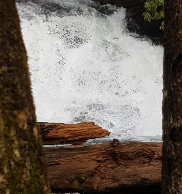 Hemlock Falls Trail-Clarkesville必去景点