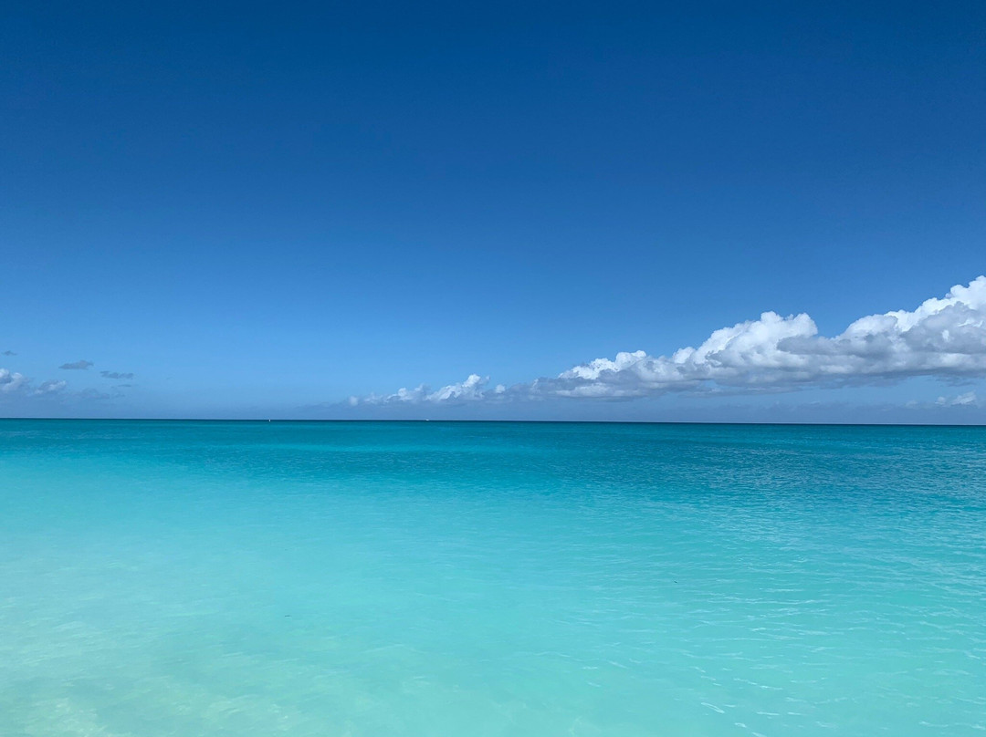 Island Roots-普罗维登西亚莱斯必去景点