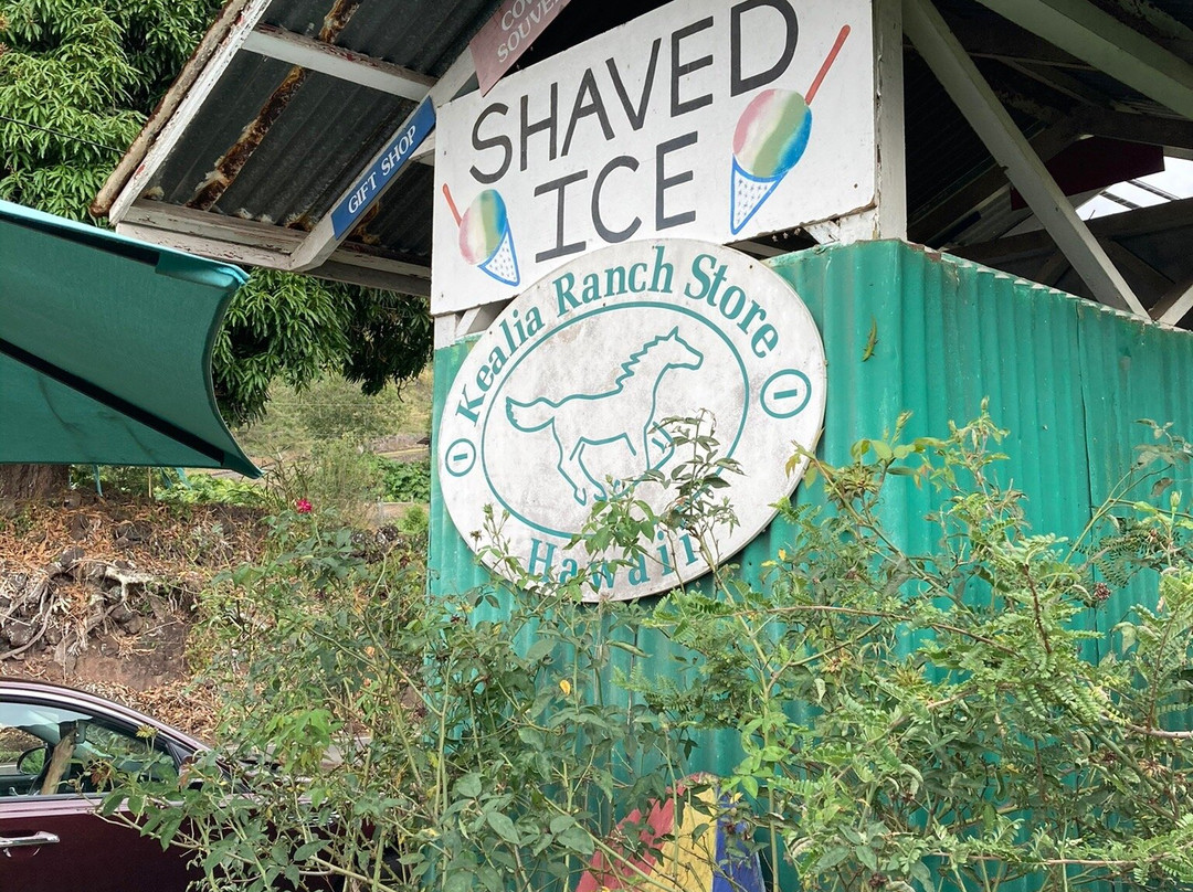 凯阿利亚农场-库克船长必去景点