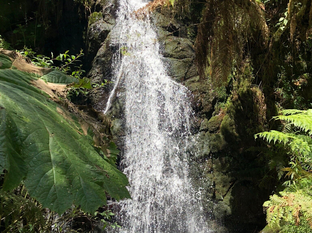 Veu de Noiva Waterfall-Urubici必去景点
