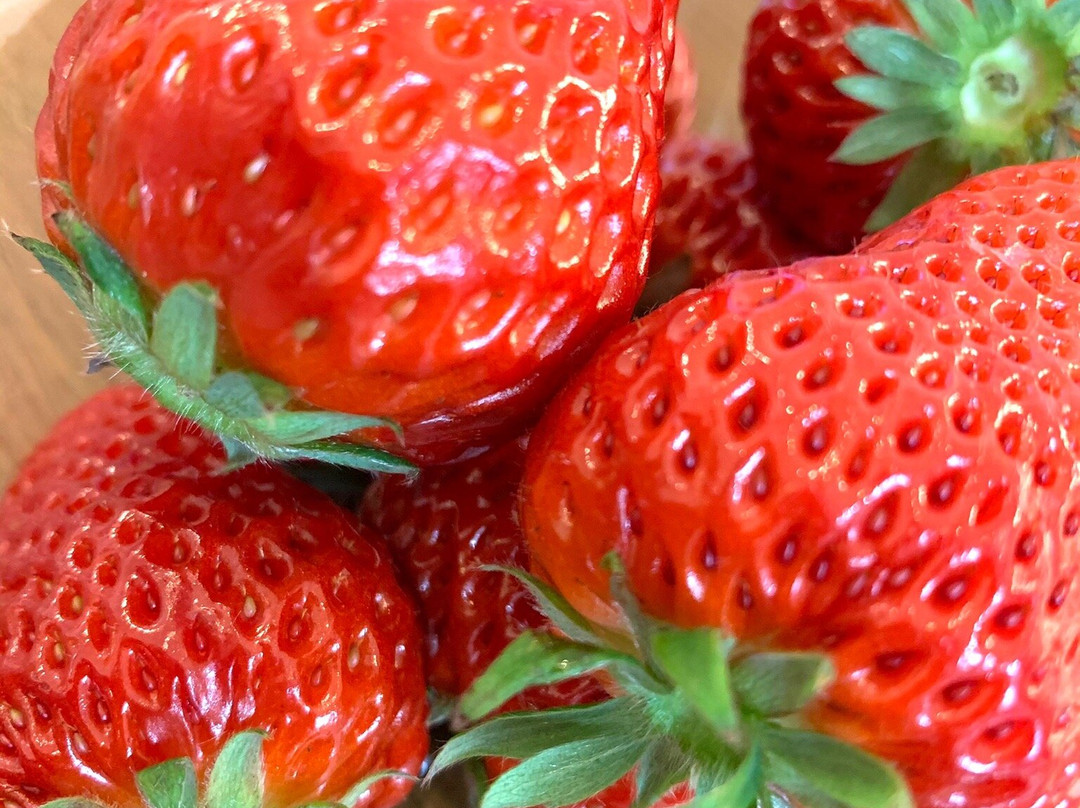 Ichigo-no-Sato-毛吕山町必去景点