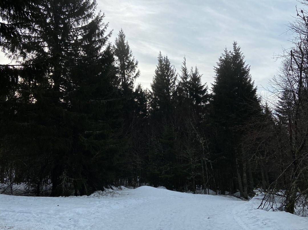 Gerardmer Ski景点图片