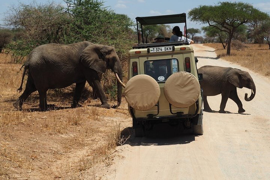 Hello Zanzibar Tours and Safaris