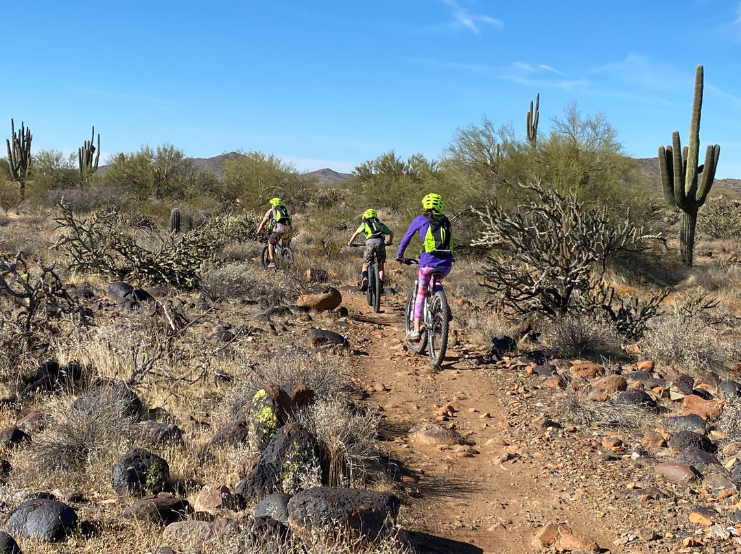 Arizona Adventure Guides-斯科茨代尔必去景点