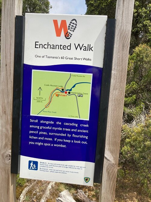 Enchanted Walk景点图片