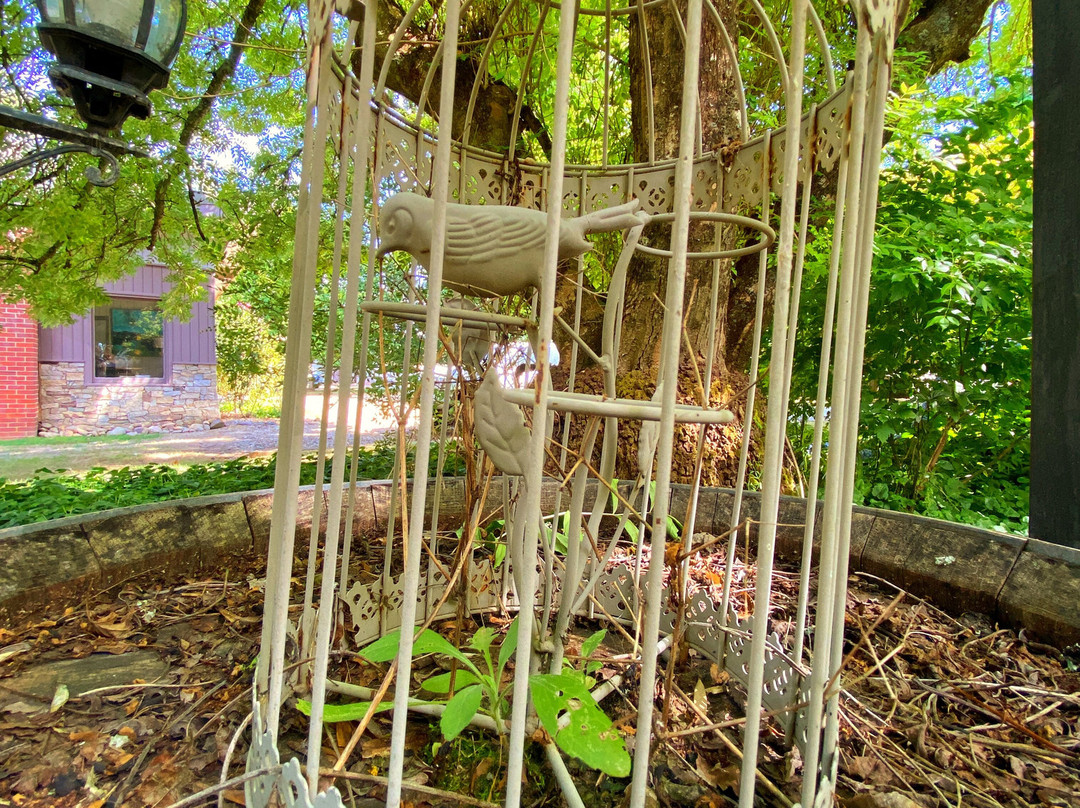 Buffalo Motel and Country Retreat主图