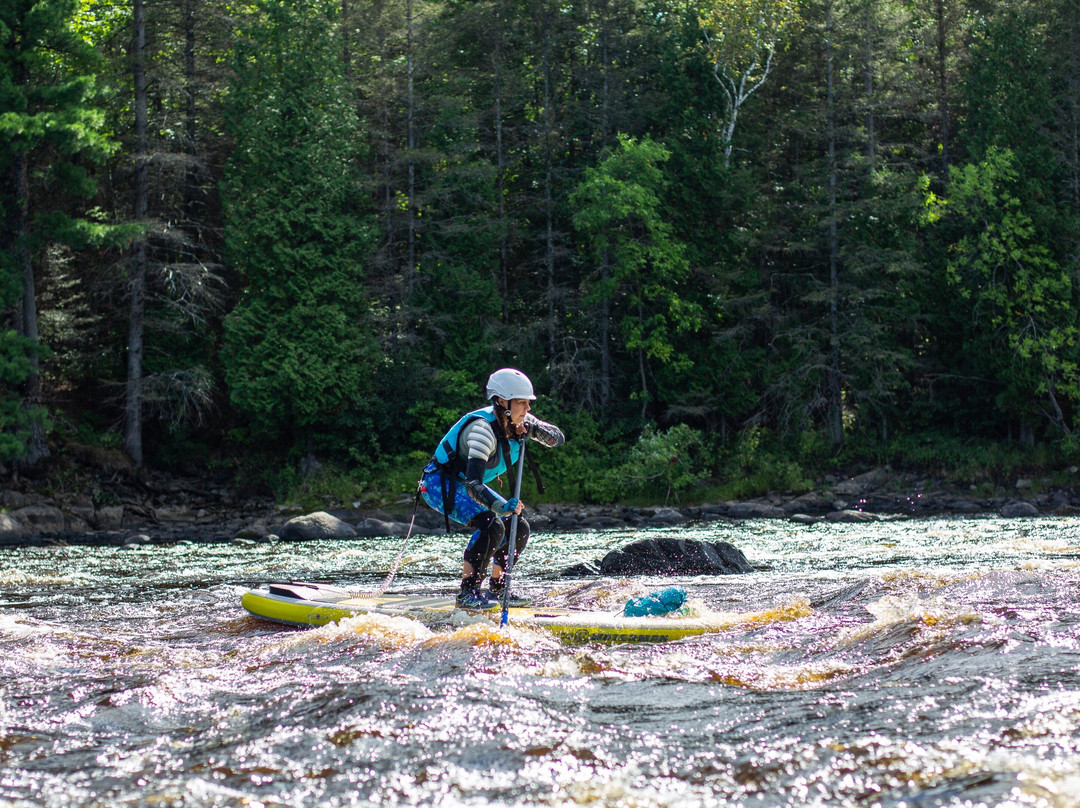 SUPerior Paddle Academy景点图片