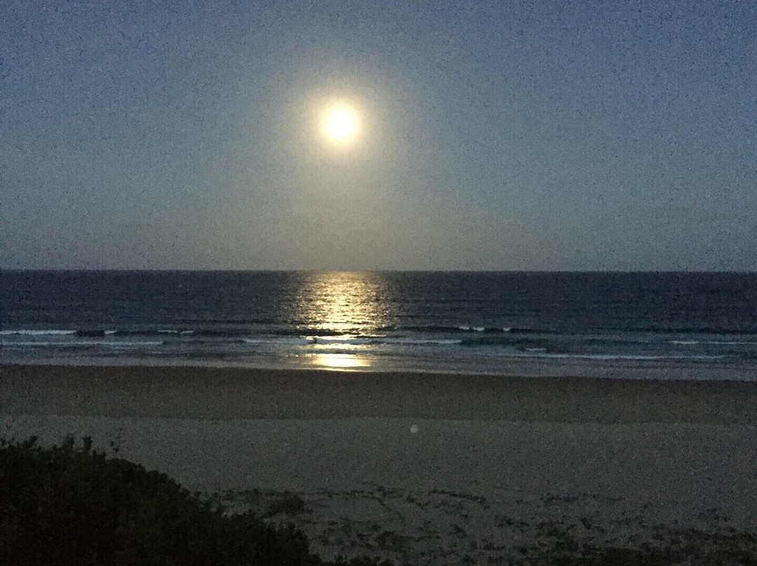 Diversity Scuba Tofo-托佛必去景点