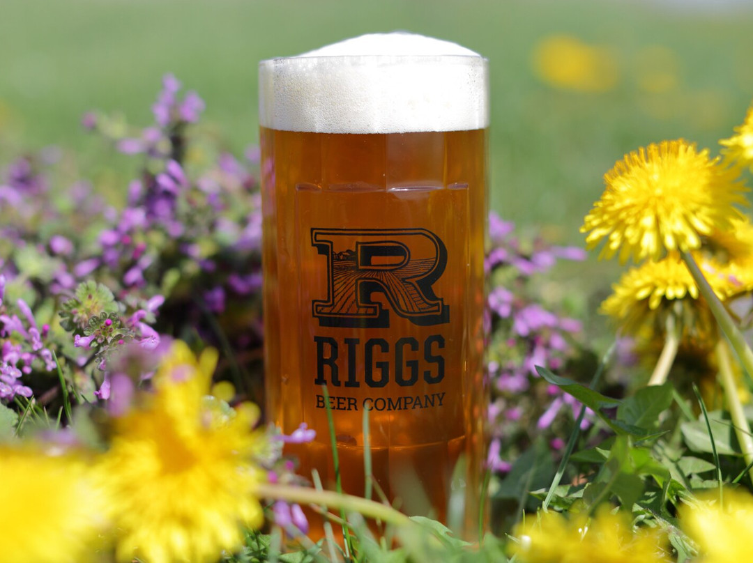Riggs Beer Company景点图片