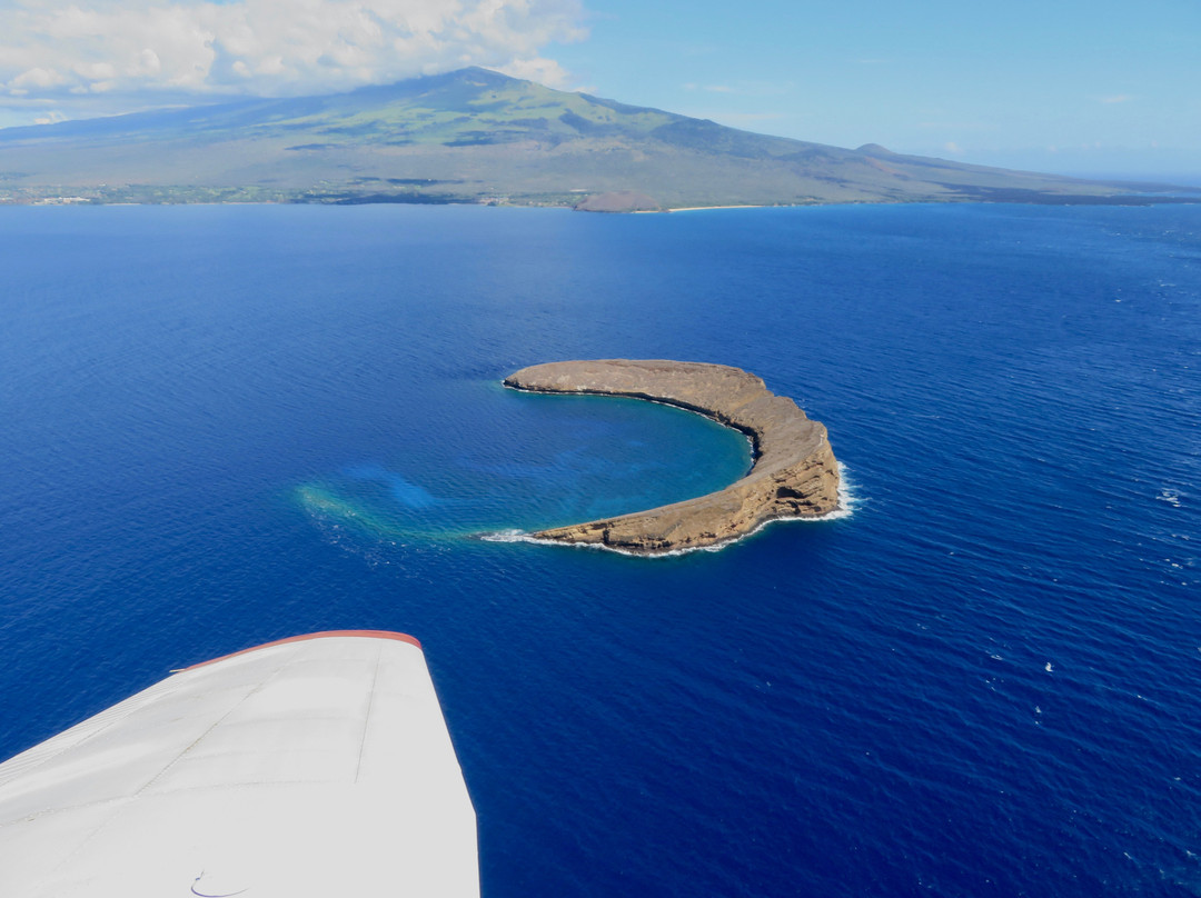 Maui Plane Rides景点图片