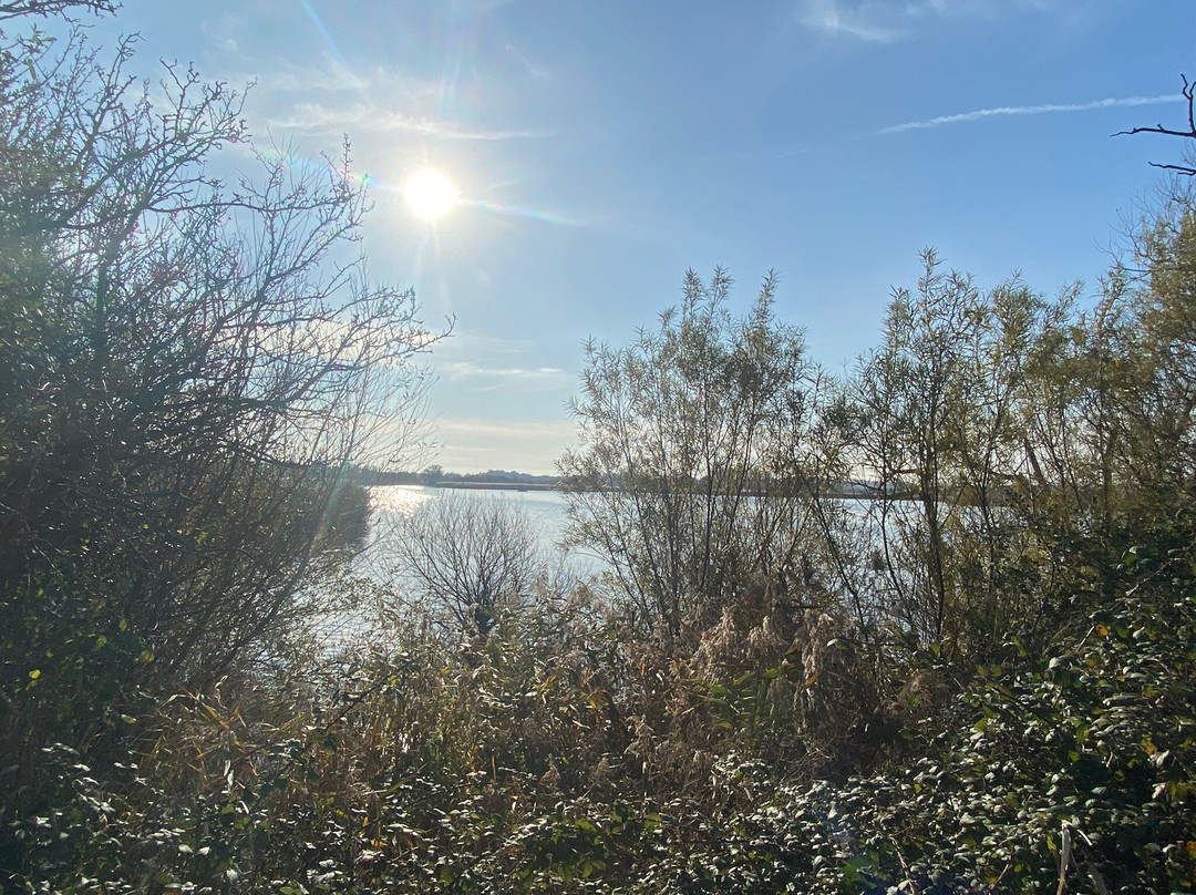 Stodmarsh National Nature Reserve景点图片