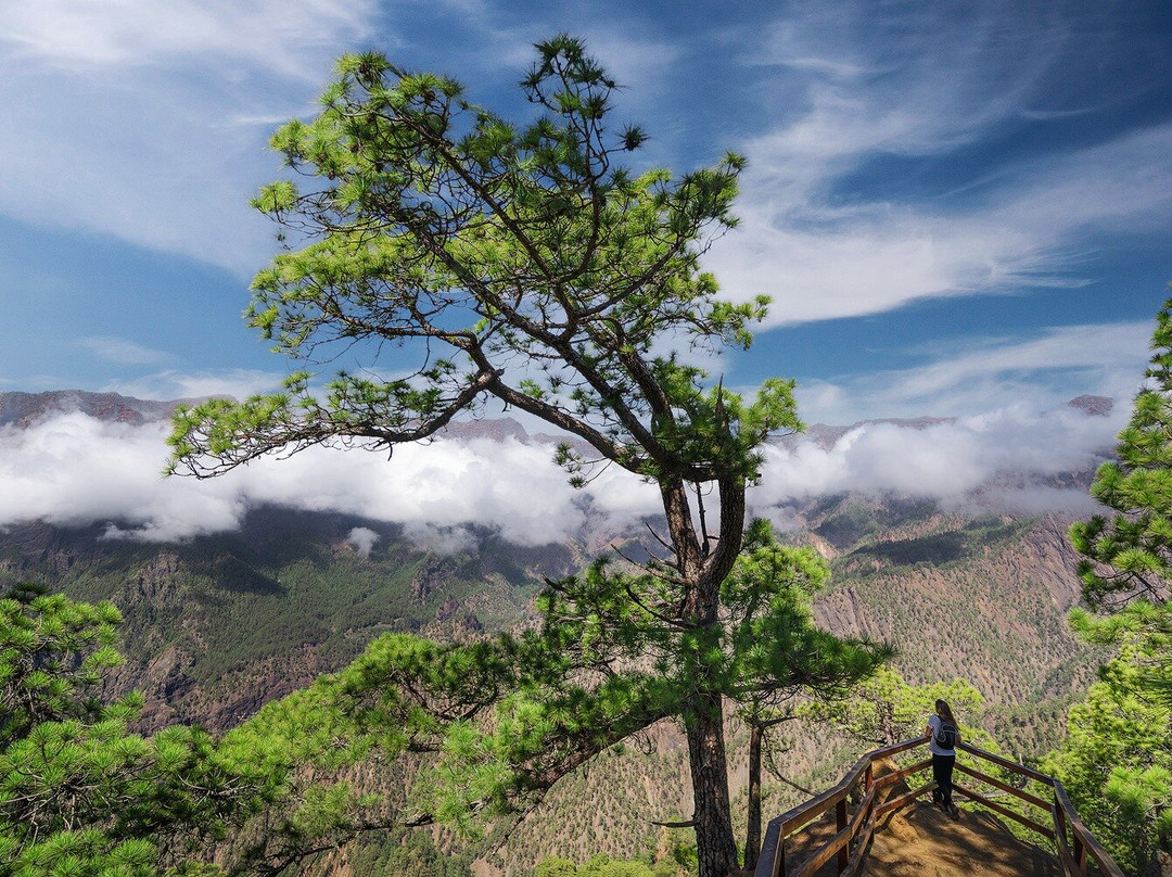 La Palma Photo Tours景点图片