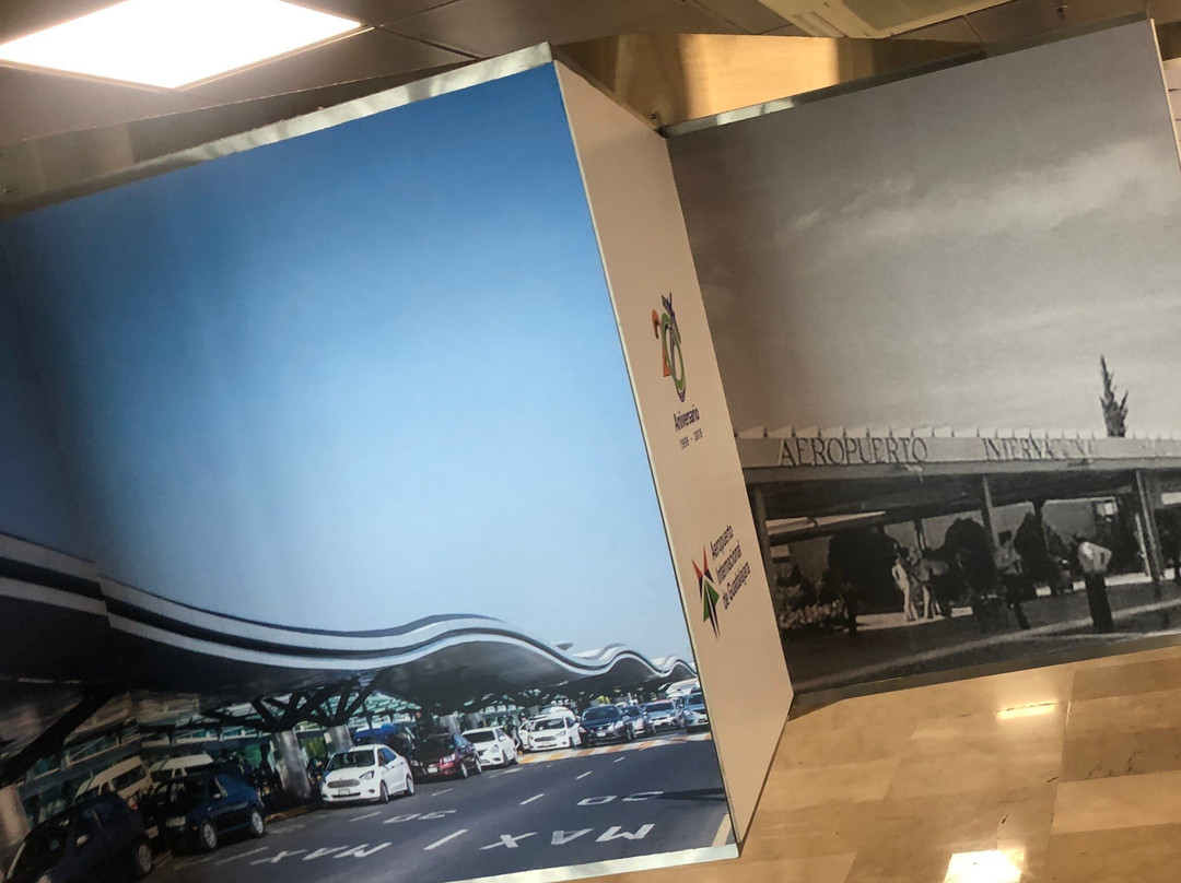 Hangar Inn Guadalajara Aeropuerto主图