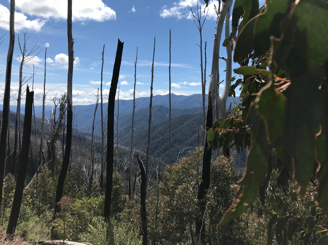 Black Hole-Hotham Heights必去景点