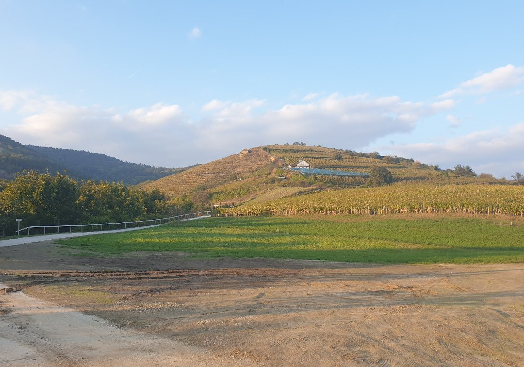 Szerelmi Pince景点图片