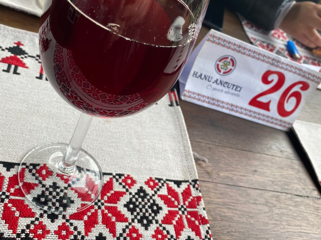 Hanu Ancutei Pension主图