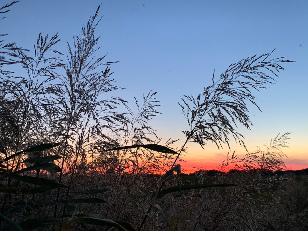 Agriturismo Podere Cirene主图