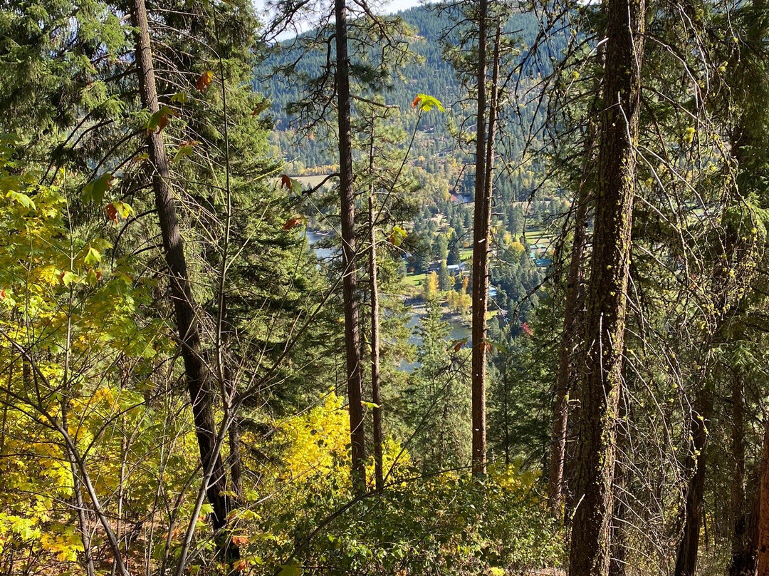 Icicle Ridge Trail景点图片
