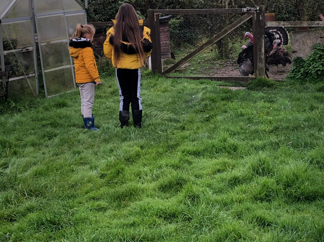 Smithson Farm Campsite主图