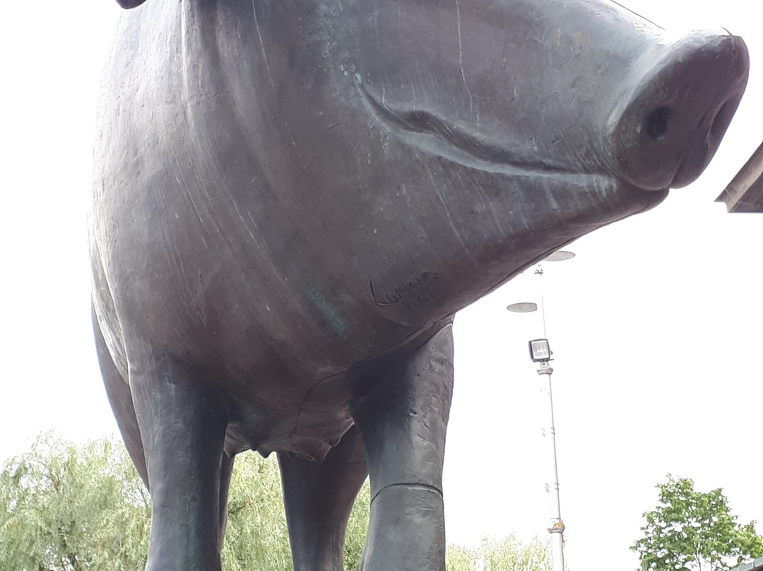Sculpture Bronze Pig-塔尔图必去景点