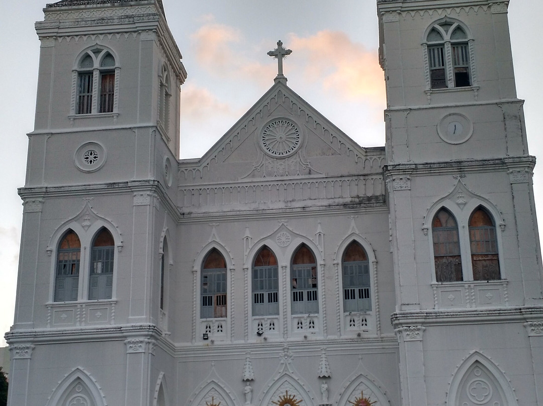 Metropolitan Cathedral-阿拉卡茹必去景点