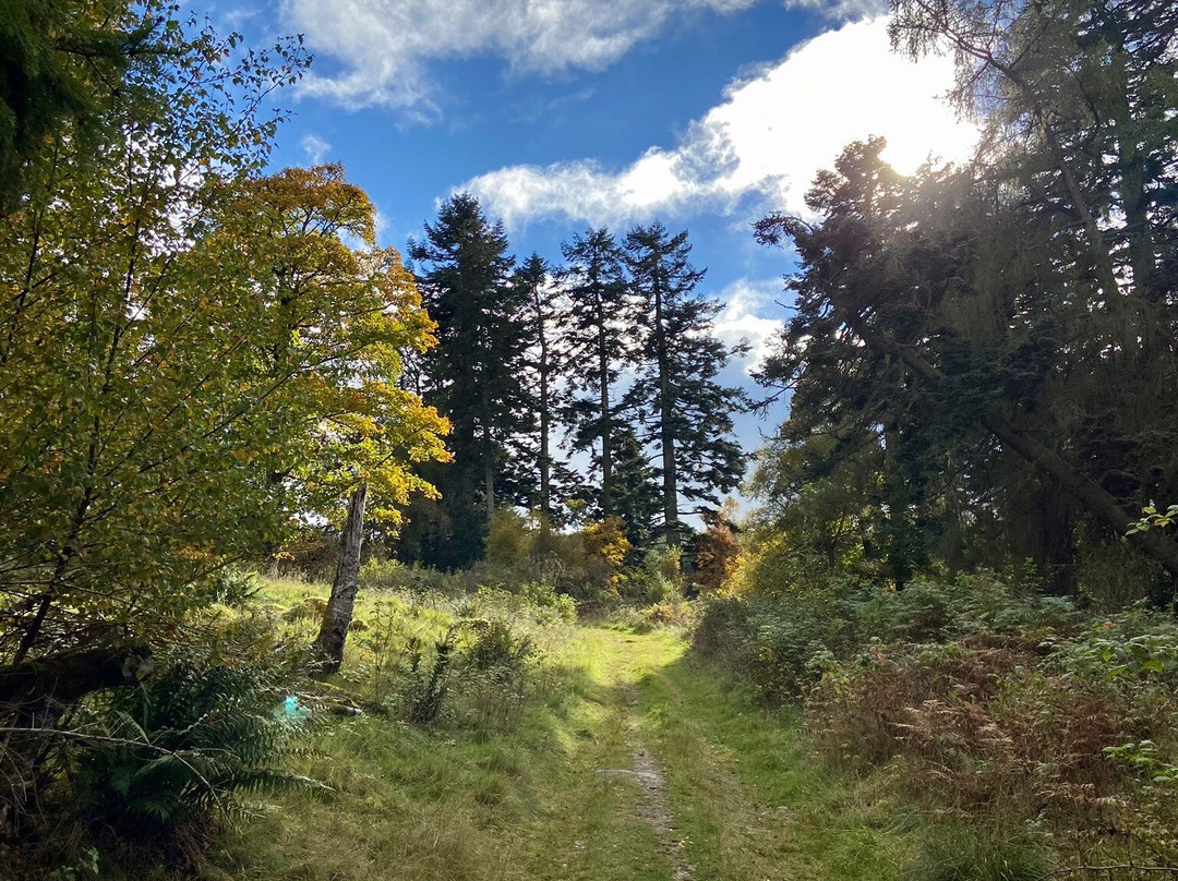 Cateran Trail-Blairgowrie必去景点