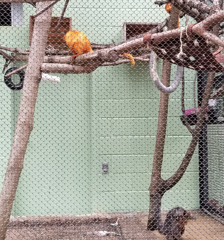 Brandywine Zoo-威尔明顿必去景点