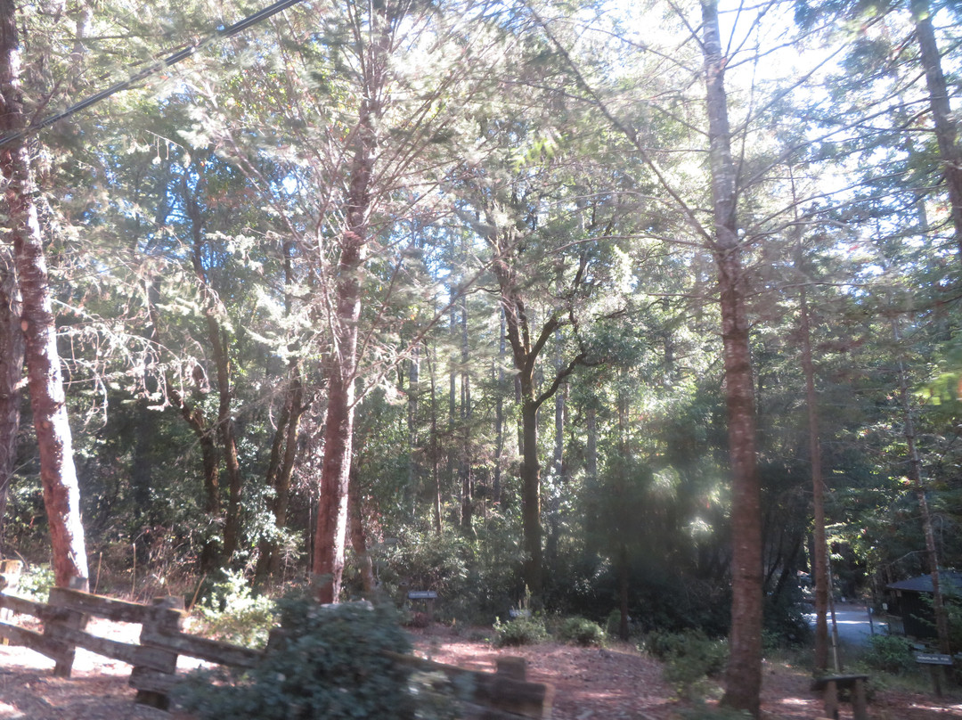 Sam McDonald Memorial Park-Loma Mar必去景点