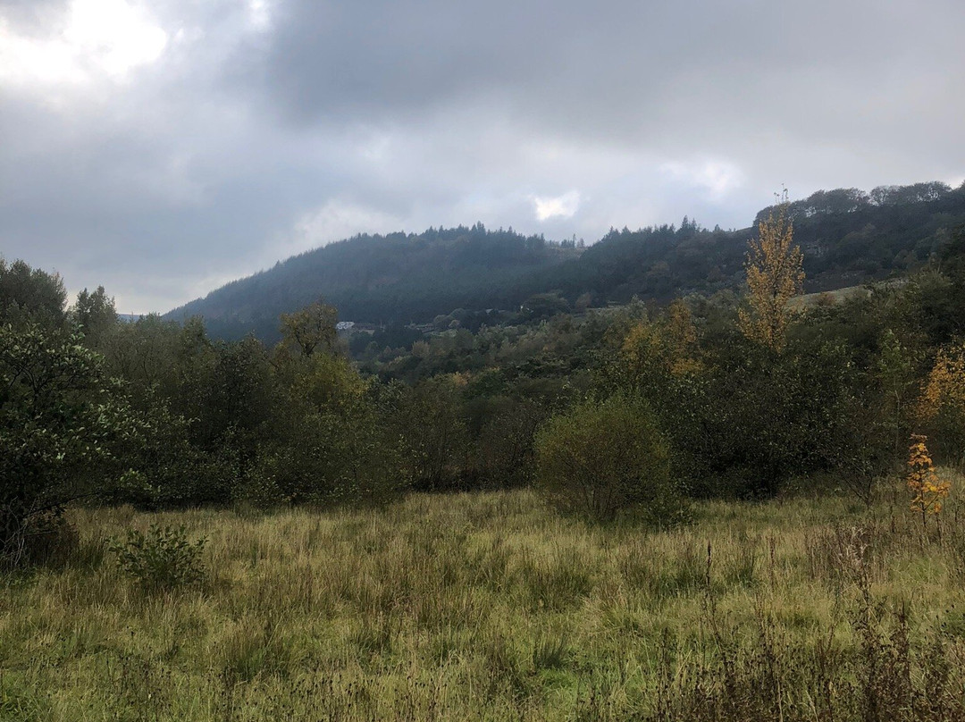 Cwmtillery Lakes景点图片