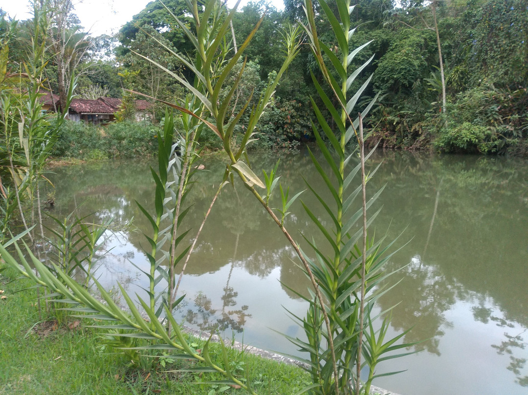 Repousada Sana主图