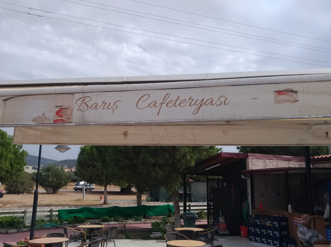 Akbuk Plajı景点图片