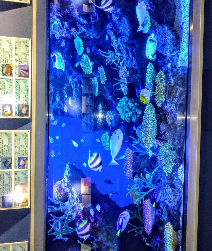 Takeshima Aquerium-蒲郡港必去景点