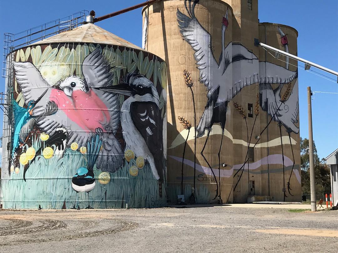 Tungamah旅游景点-Tungamah Silo Art