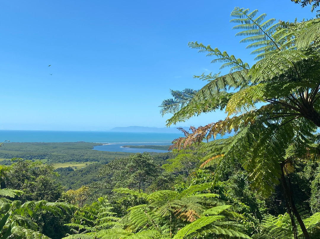 Daintree Ferry景点图片
