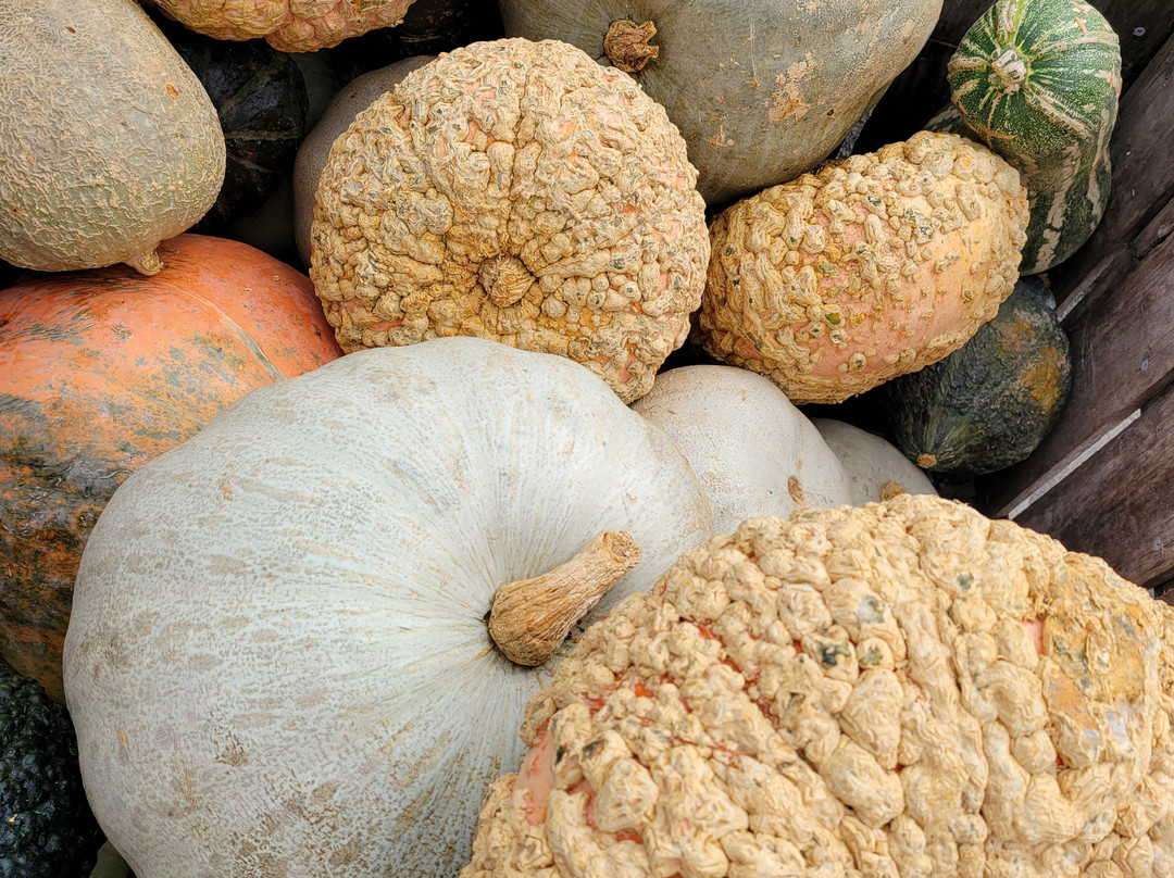 Russell Orchards-Ipswich必去景点